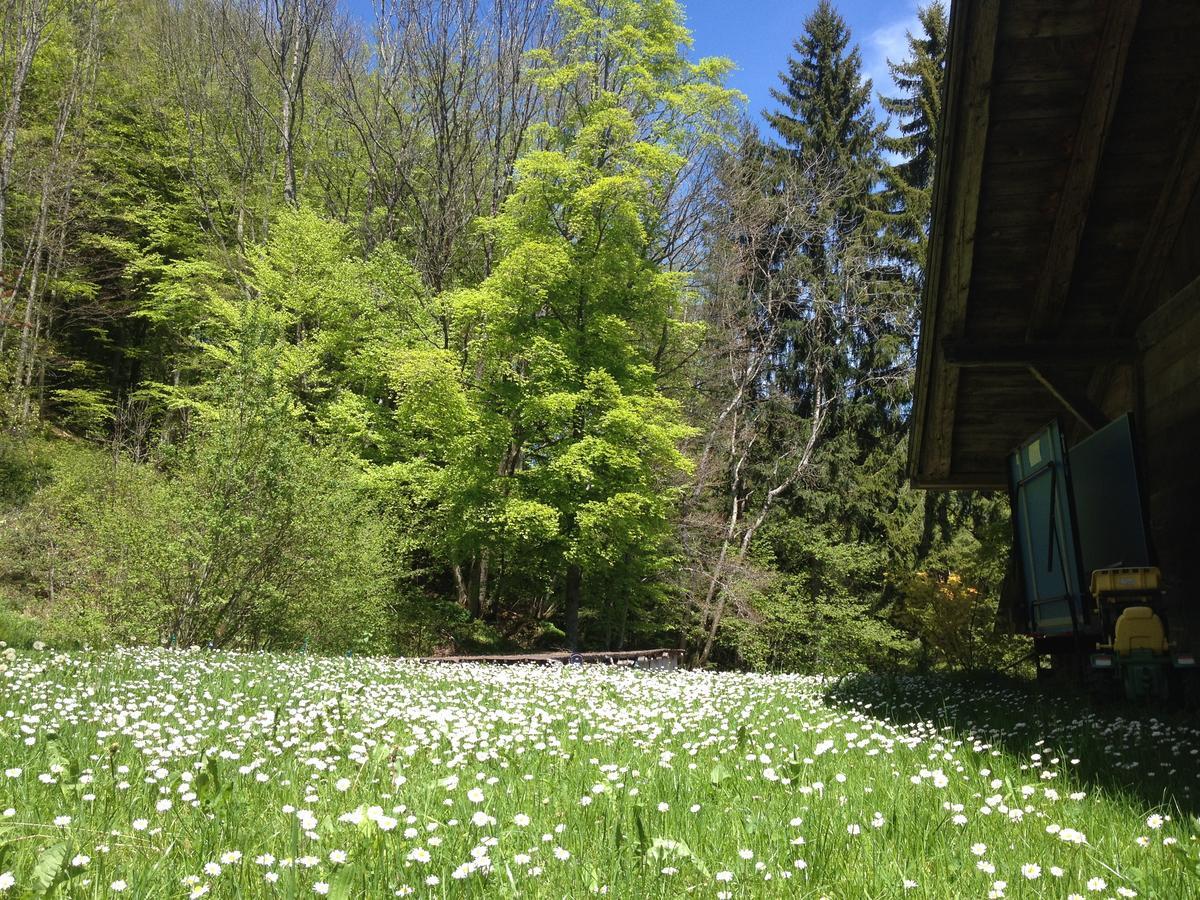 Chalet Ingas Troistorrents 외부 사진